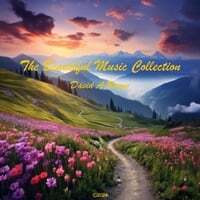 The Beautiful Music Collection