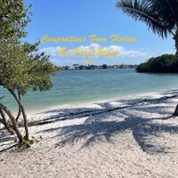 Compositions from Florida